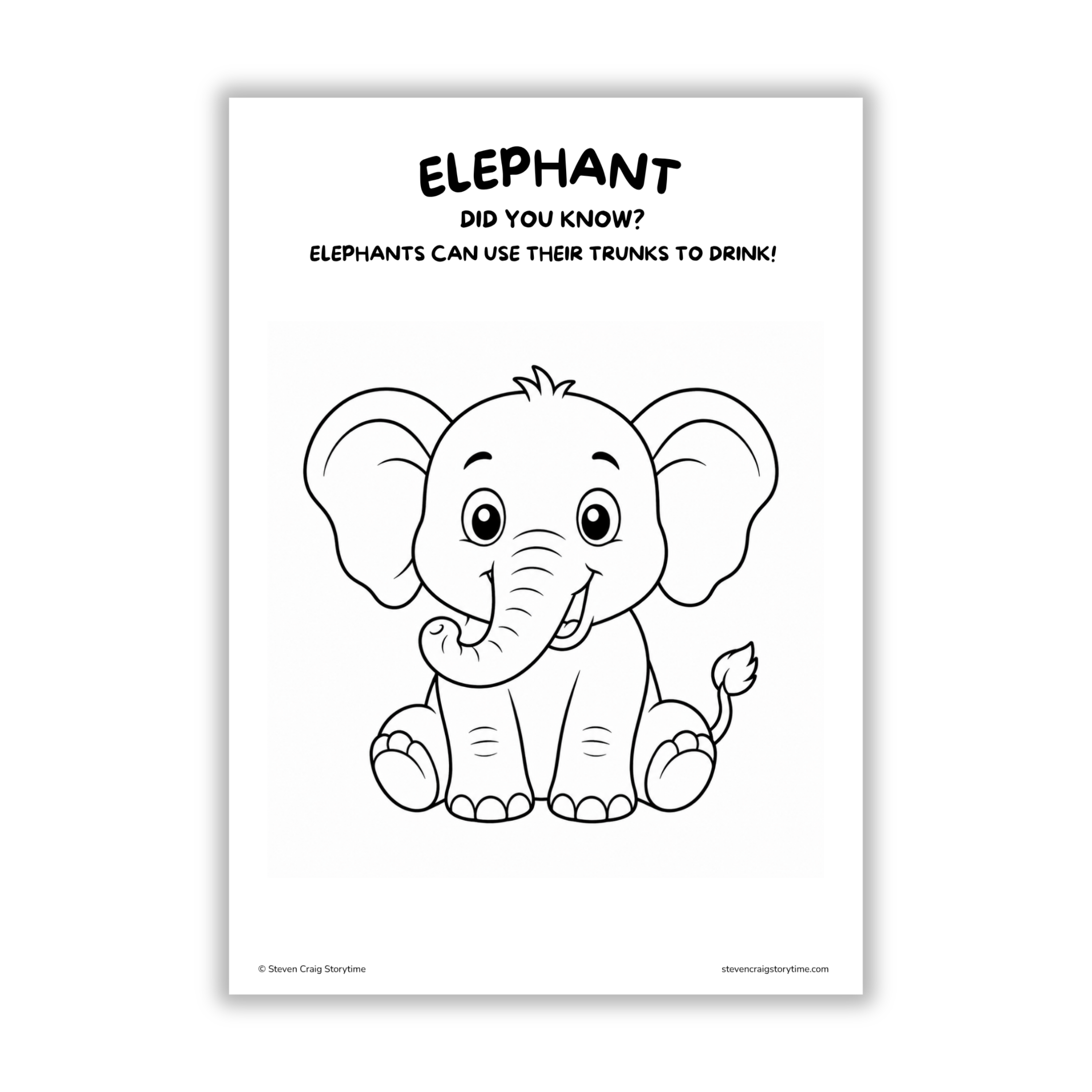 Wild Animal Adventures Colouring Pages for Kids Ages 3–6